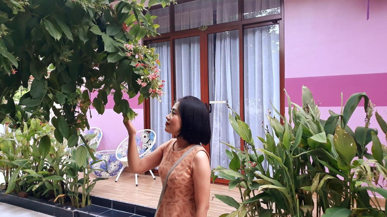 Pink House Хойан